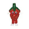 Jourdefete Mascotte Fruit Fraise